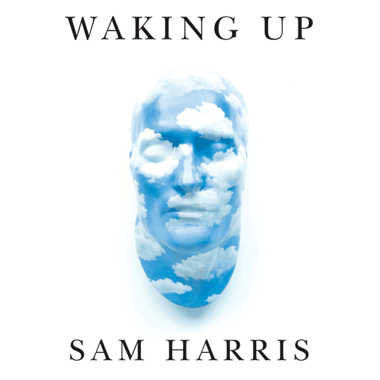 Image: Waking Up Podcast