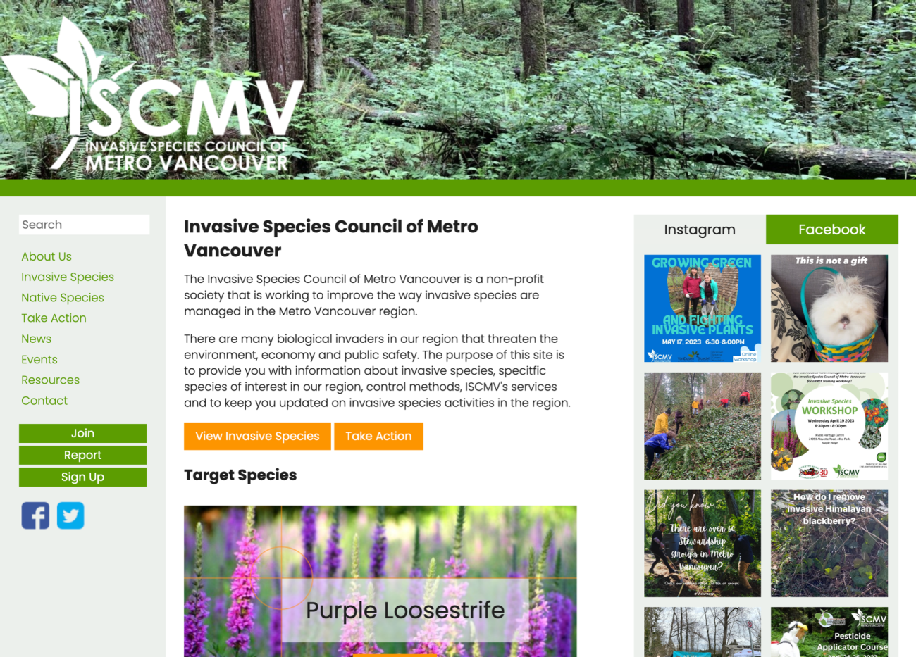 Screenshot of ISCMV home page