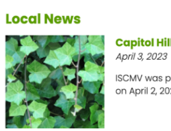 Thumbnail  Screenshot of ISCMV Local News page