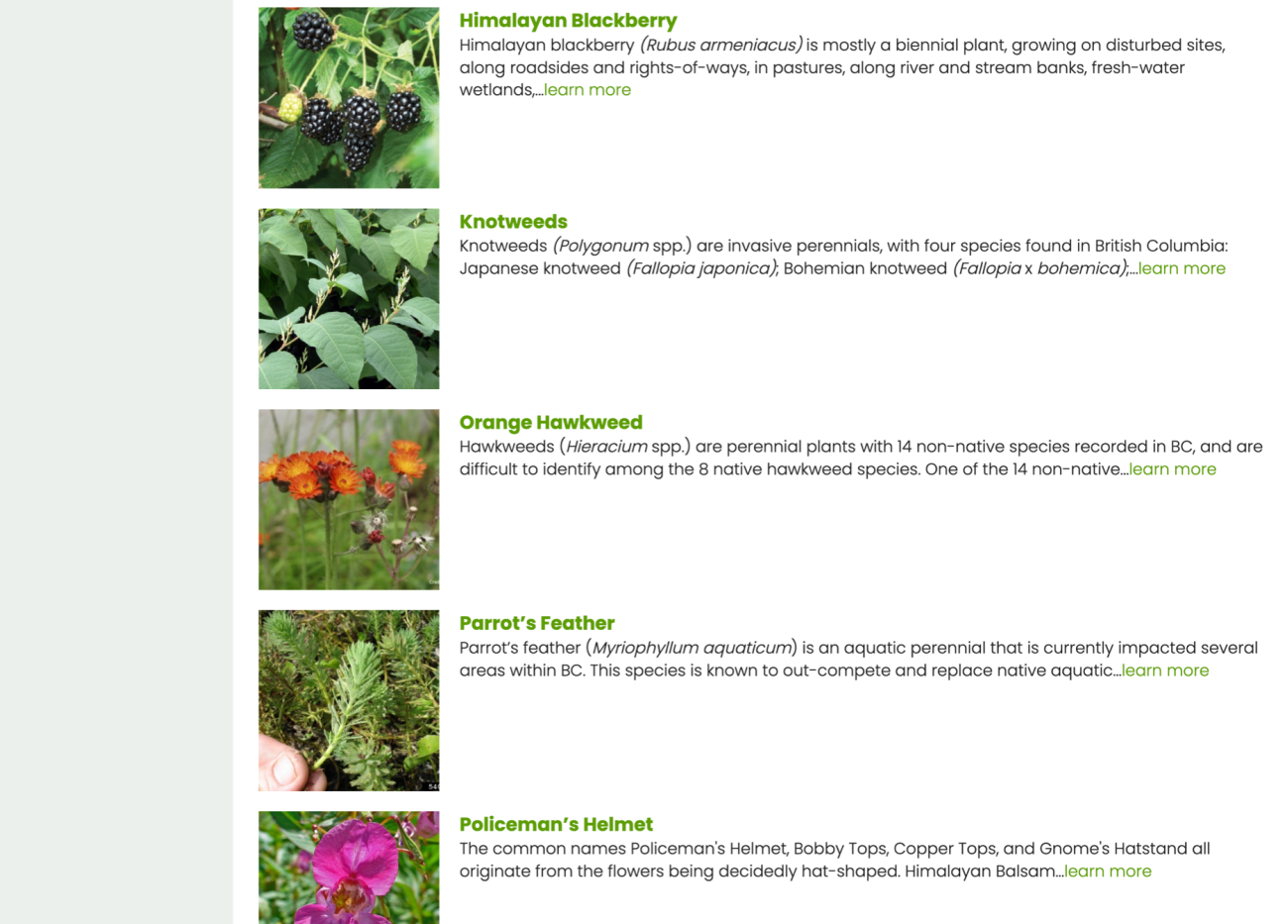 Screenshot of ISCMV Invasive Plants list