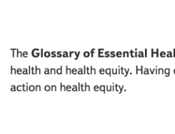 Thumbnail  Screenshot of the NCCDH Glossary of Essential Health Equity Terms