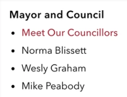 Thumbnail  Screenshot of City Councillors page
