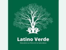 Thumbnail  Latino Verde Home Page Screenshot