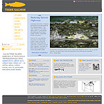 Screenshot of Think Salmon